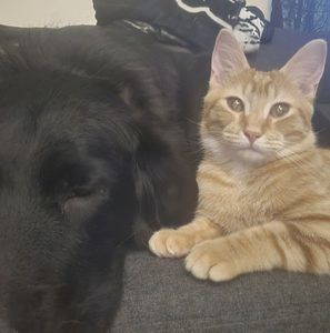 Meet your Posher, Sara